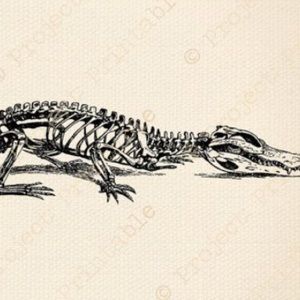 Meet your Posher, Lou